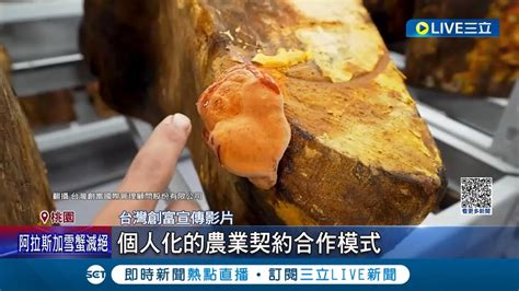 曾慶弘|台灣創富「牛樟芝假投資」吸9.8億！47人遭訴 主謀因他案被通緝。